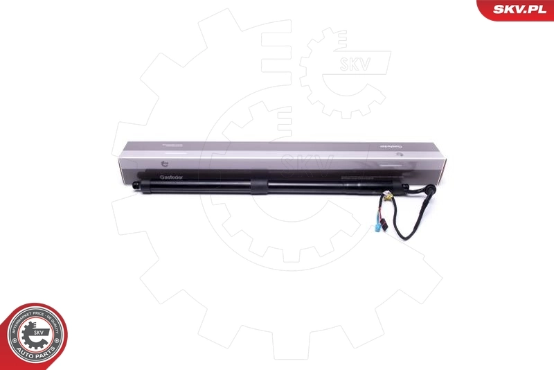 Electric Motor, tailgate